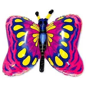 Бабочка 1675 фото