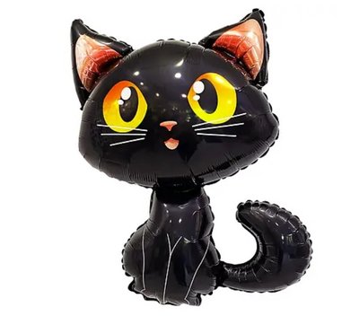 Черный котенок 153590 фото